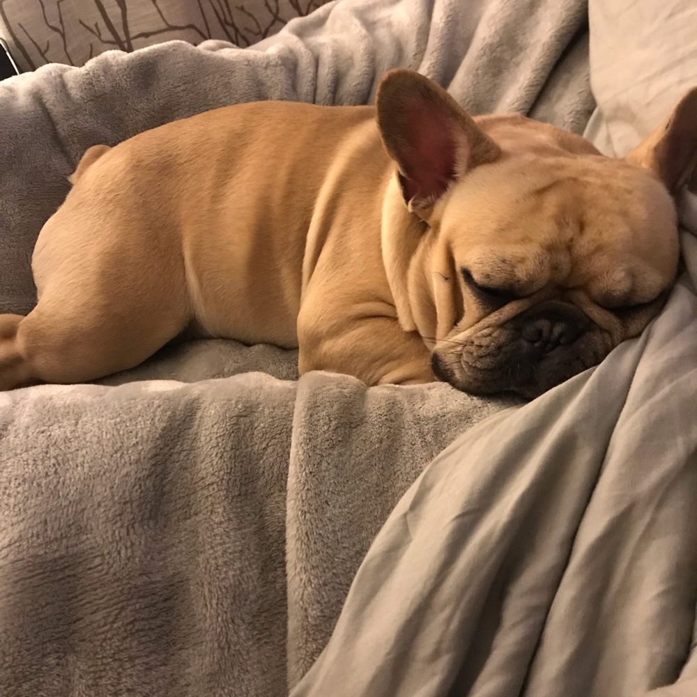 Meet your Posher, Britney